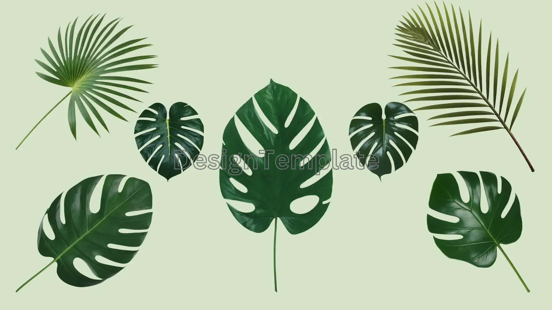 A 3D Collection of Different Green Palm image